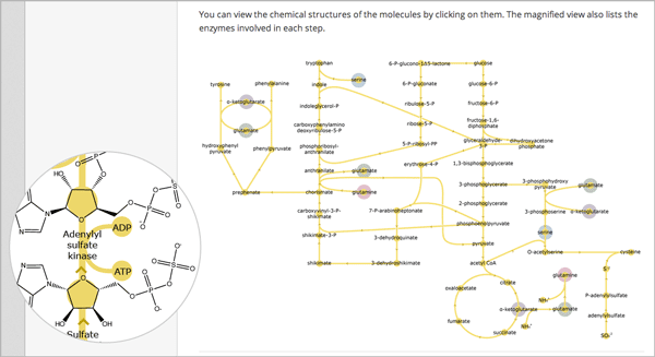 Example zooming image (dual image) tool showing a chemistry exercise.
